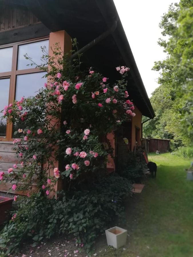 Il Pettirosso Di Giusvalla Eksteriør bilde